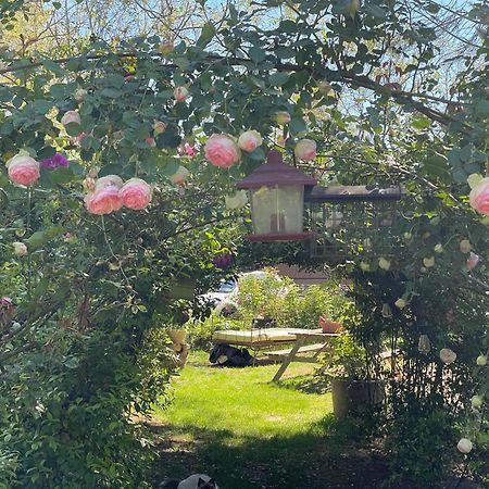 Gites Le Pimayon Manosque Exterior foto