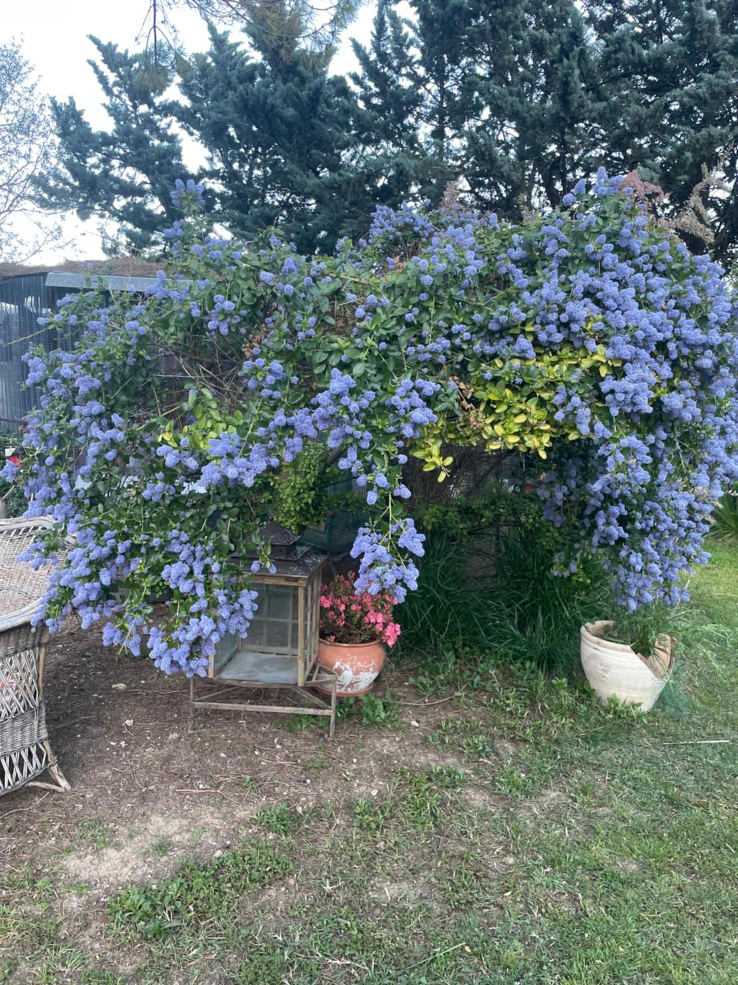 Gites Le Pimayon Manosque Exterior foto